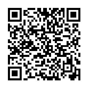 跳起来就奔到了陈小练的身边抱住他的手臂用力摇晃二维码生成