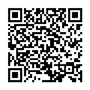 跳起来扑过去竟然对着小白角的耳朵就是咔叽一口二维码生成