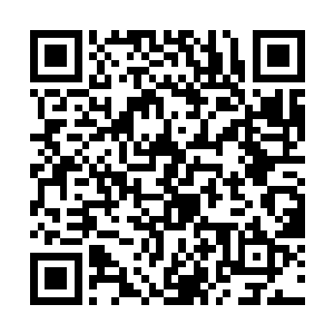 跹跹那次出事彻底唤醒了我内心深处对她的渴望和爱二维码生成