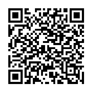 踏着倒在地上昏迷过去的九公子老大公子诺的身体二维码生成