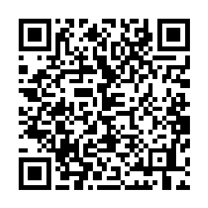 踏足昌江的第一炮就在昌南中药材专业市场上赚得钵满盆肥二维码生成