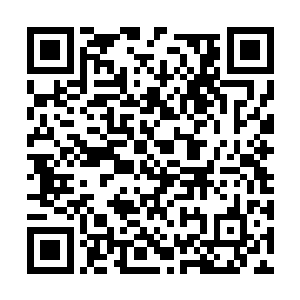 踏雪无痕墨角腾云兽却帮她阻止了小幼崽的回笼觉二维码生成