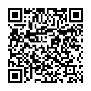 踏雪无痕墨角腾云兽居然真的同意苏落的抢劫比例二维码生成