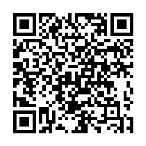 踏雪无痕墨角腾云兽有一种自家小幼崽被人觊觎的愤怒二维码生成