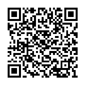 踏雪无痕墨角腾云兽被苏落的强盗逻辑给气笑了二维码生成