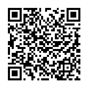 踩着金色水晶高跟鞋的脚不客气地踢向阿莲的侧腰二维码生成