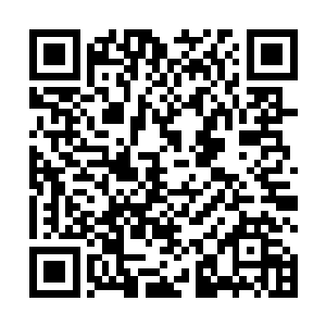 蹦蹦跳跳的佩佩和在水里浮游的微生物并没有太大区别二维码生成