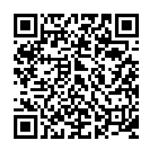 蹬蹬瞪~登登~登登等……登登~……蹬蹬瞪~登登~登登等……登登~二维码生成