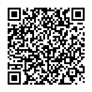 蹲在山石上看着山下重新凝聚的队伍以及号子声的谢柔嘉重重的打个喷嚏二维码生成