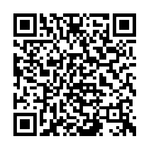 身上一件件波动达到了中等魔器位阶的物品炸开二维码生成