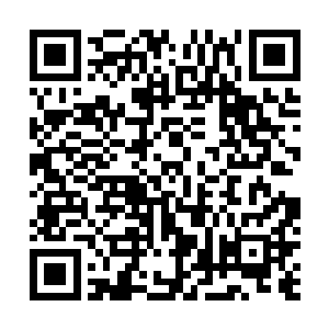 身上五彩光晕本能的赶紧向那十数处燃烧的白色火焰涌去二维码生成