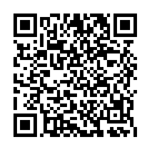 身上依然穿着回来时的那身满是血迹的破旧衣裳二维码生成