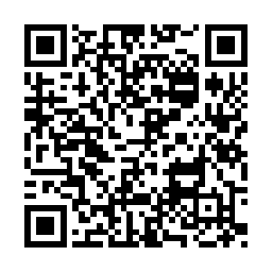 身上却是散发出如汪洋大海一般浩瀚的恐怖气势二维码生成