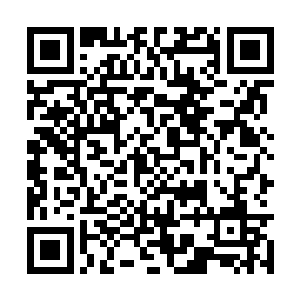 身上和手脚上立刻被割出千百道触目惊心的血口子二维码生成