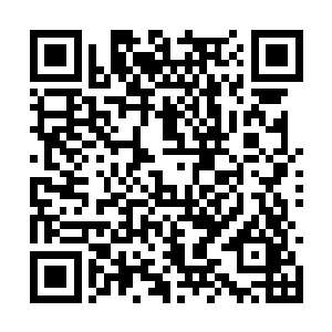 身上少见的没有龙坟海武者的那股戾气和杀戮气质二维码生成