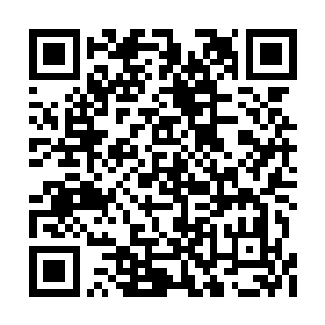 身上本该有的食人蝴蝶咬噬的伤痕竟然全无踪影二维码生成