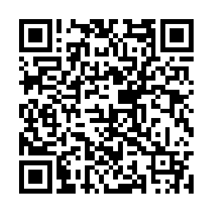 身上流转的血色能量和紫涟漪身上的血修一般无二二维码生成