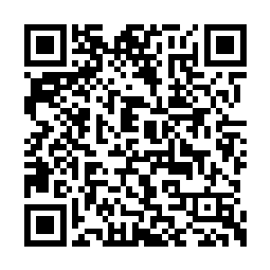 身上满是红的鲜血白的脑浆和一股腥臊的尿液味二维码生成