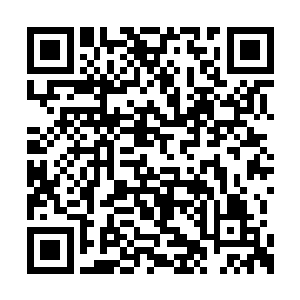 身上的气势也是陡然间变得更加的狂暴了起来的二维码生成