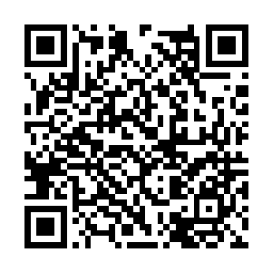 身上的肥肉顿时如同波浪一般一层接着一层起伏着二维码生成