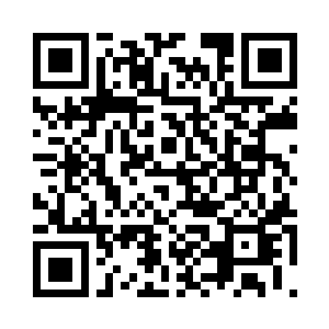 身上的那些须条一条条是那样的可人二维码生成