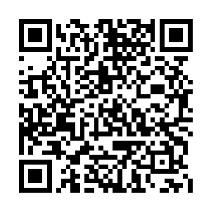 身上的那恐怖的煞气不断的冲击着龙傲天的心神二维码生成