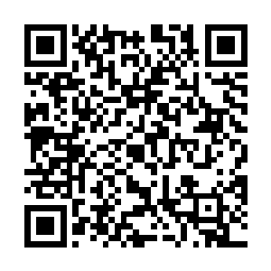 身上的那股邪恶的气息竟然比万邪老祖还要恐怖无数倍二维码生成