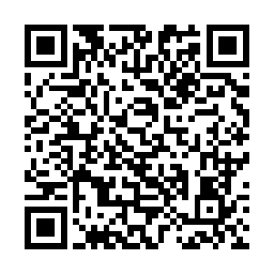 身上穿的甚至就是一袭普通到不能再普通的素色麻袍二维码生成