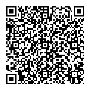 身上穿着一件破了好几个大洞工人装的小老头和前次见到的那个衣装光鲜谈吐文雅怀里还搂着大洋马的老绅士联系在一起二维码生成
