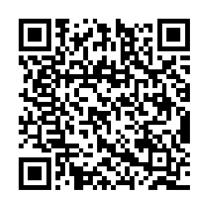 身上紧绷绷的华服显然都在提醒着自己是个高级人二维码生成