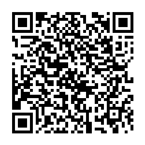 身上累累的伤痕和背上那几乎致命的一刀足以说明男子经历了一番苦战二维码生成