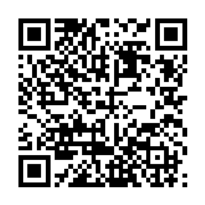 身上还有着众多奇异装饰品的兽化人祭司招待了他们二维码生成