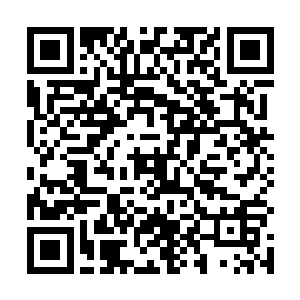 身上那件纯白色的袍子似乎完全都是羽毛密密缝制而成二维码生成