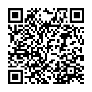 身上锋锐与这个已经成熟得快要烂掉的大宋格格不入二维码生成