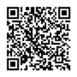 身为一城之主的季疏云在有这等高超的医术之余二维码生成