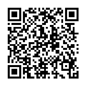 身为东来洞大管家的阎修亦站在苗大洞主身后的雪儿身旁二维码生成