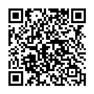 身为实权人物的他本想利用自己的权力为儿子报仇二维码生成