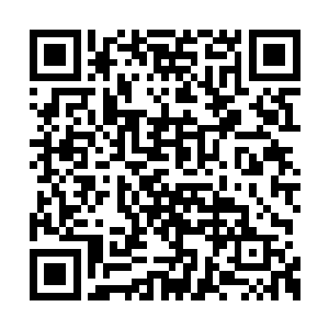 身为暗卫本身就已经习惯了身处暗处随时戒备着二维码生成