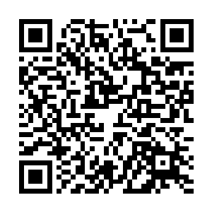 身为秩序顶尖玩家的悟死参玄也被这一招弄得毫无脾气二维码生成