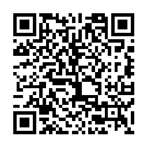 身份地位权势……年轻的魔君当然都是世间首屈一指的那位二维码生成