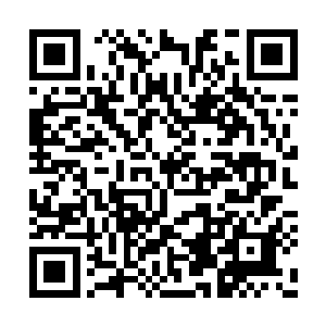 身份最为尊贵的自然是拥有各种血缘关系的少爷二维码生成