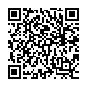 身体之中贮藏的劫雷全部都需要他渡劫的时候一点一点的来收藏二维码生成