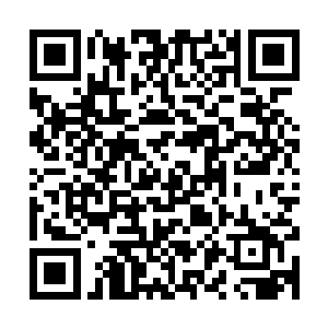 身体内外都被冰冷的空气洗涤一遍的众人开始三三两两的往回撤二维码生成