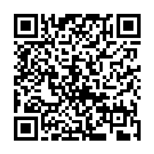 身体化作一道流光直接朝着血狱怪物传来的方向飞掠而去二维码生成