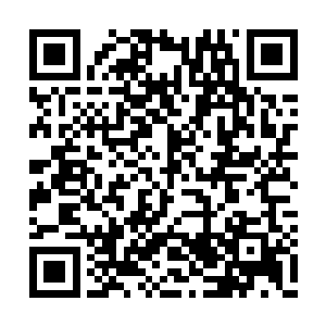 身体如同利剑般窜向了其中一颗鸡蛋大小得灵珠二维码生成