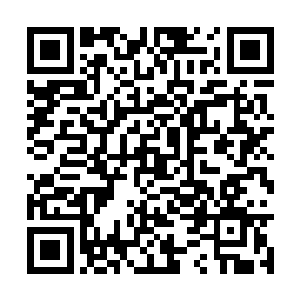 身体如行云流水般毫不迟疑的随之没入脚下浮土中二维码生成