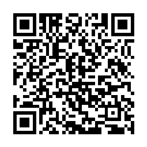 身体已经条件反射般从乾坤戒中激活了各种防御法宝二维码生成