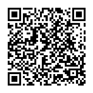 身体的踉跄中原本为了破解许岚剑法而点出的右手食指便偏离了方向二维码生成