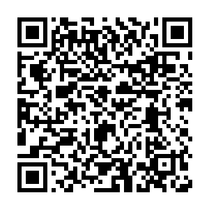 身体里翻腾的怒火和复杂的情绪被一路的冷风吹的稍微冷却了一些二维码生成