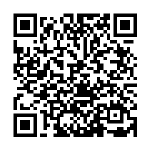 身体里面似乎还有一层结界让我看看原来是防止神力逃逸的结界二维码生成